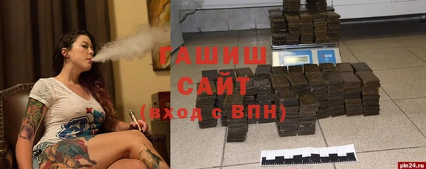 прущие грибы Лабытнанги