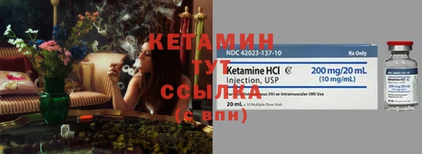 прущие грибы Лабытнанги