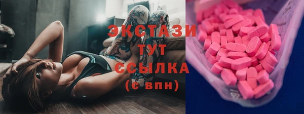 прущие грибы Лабытнанги
