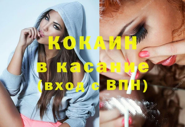 прущие грибы Лабытнанги