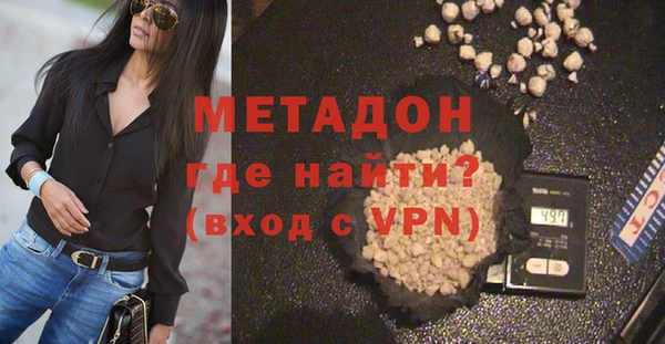 прущие грибы Лабытнанги