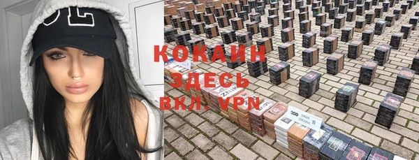 прущие грибы Лабытнанги