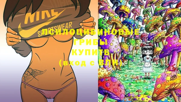 круглые Ладушкин