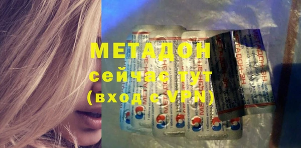 прущие грибы Лабытнанги