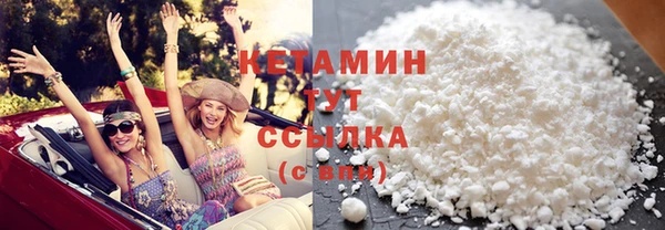 прущие грибы Лабытнанги