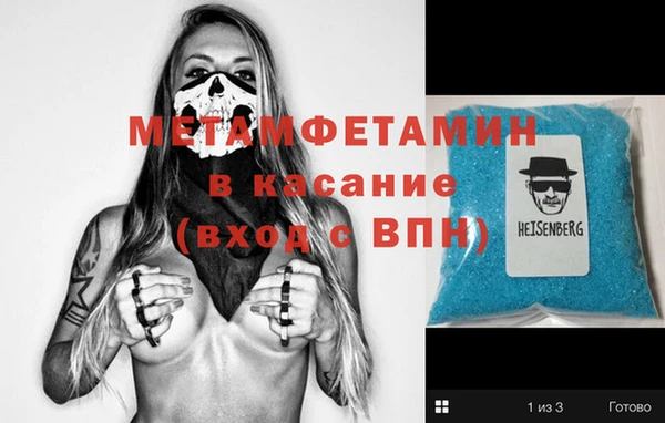прущие грибы Лабытнанги