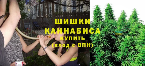 прущие грибы Лабытнанги